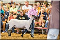 LCFair2016-2397.jpg