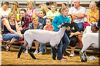 LCFair2016-2398.jpg