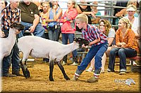 LCFair2016-2399.jpg