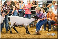 LCFair2016-2401.jpg