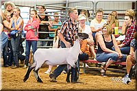 LCFair2016-2402.jpg