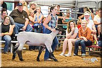 LCFair2016-2403.jpg