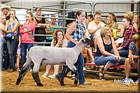 LCFair2016-2404.jpg