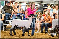 LCFair2016-2405.jpg