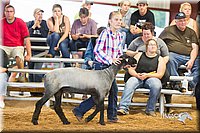 LCFair2016-2407.jpg