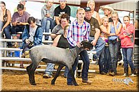 LCFair2016-2408.jpg