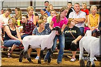 LCFair2016-2411.jpg