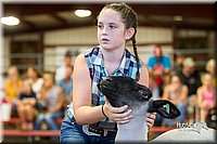 LCFair2016-2413.jpg