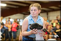 LCFair2016-2414.jpg