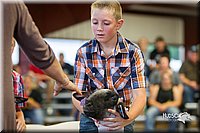 LCFair2016-2415.jpg