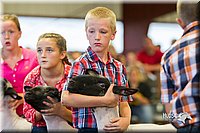 LCFair2016-2417.jpg