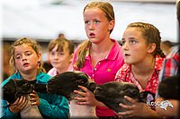 LCFair2016-2419.jpg