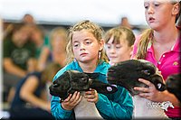 LCFair2016-2420.jpg