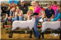 LCFair2016-2423.jpg