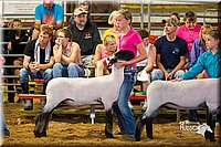 LCFair2016-2424.jpg