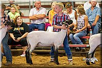 LCFair2016-2425.jpg