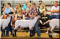 LCFair2016-2426.jpg