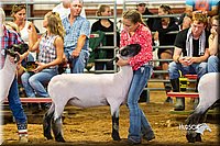 LCFair2016-2427.jpg