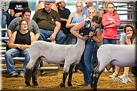 LCFair2016-2428.jpg