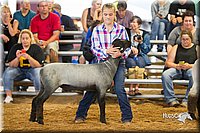 LCFair2016-2429.jpg