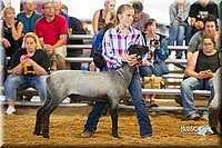 LCFair2016-2430.jpg