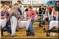 LCFair2016-2431.jpg