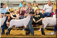 LCFair2016-2432.jpg