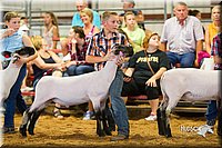 LCFair2016-2433.jpg