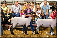 LCFair2016-2434.jpg