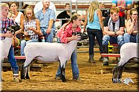 LCFair2016-2435.jpg