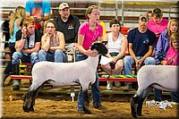 LCFair2016-2436.jpg