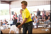 LCFair2016-2437.jpg