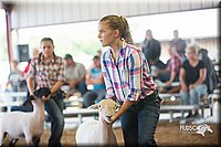 LCFair2016-2438.jpg