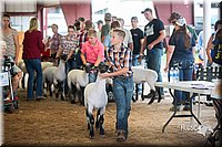 LCFair2016-2468.jpg