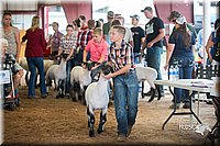 LCFair2016-2469.jpg