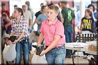 LCFair2016-2470.jpg