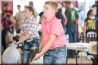 LCFair2016-2471.jpg