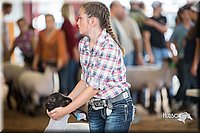 LCFair2016-2472.jpg