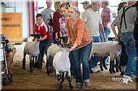 LCFair2016-2473.jpg