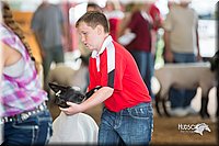 LCFair2016-2477.jpg