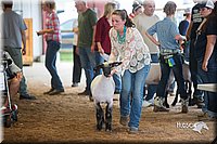 LCFair2016-2478.jpg