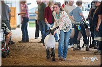 LCFair2016-2479.jpg