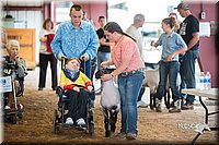 LCFair2016-2482.jpg