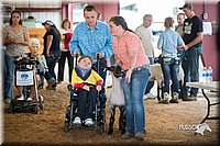 LCFair2016-2485.jpg