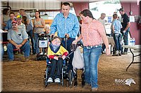 LCFair2016-2487.jpg