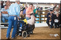 LCFair2016-2492.jpg