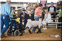 LCFair2016-2495.jpg