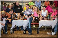 LCFair2016-2496.jpg