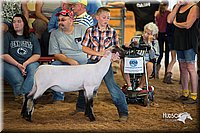 LCFair2016-2497.jpg