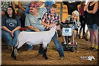 LCFair2016-2498.jpg